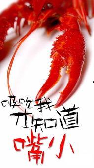 骚年龙虾爆料视频播放在线观看,视频内容抢先看,在线观看不容错过! 第3张 骚年龙虾爆料视频播放在线观看,视频内容抢先看,在线观看不容错过! 第3张